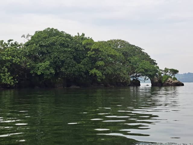 Small tree-covered island with a natural rock arch on Lake Victoria