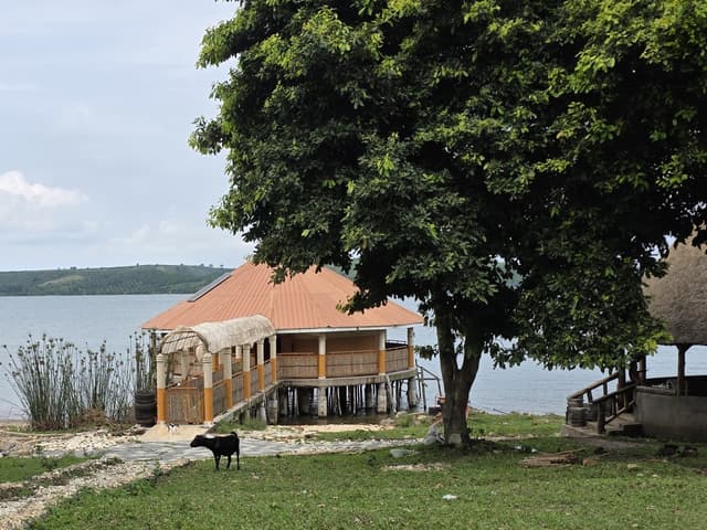 The Lake House on stilts over Lake Victoria, framed by mango trees