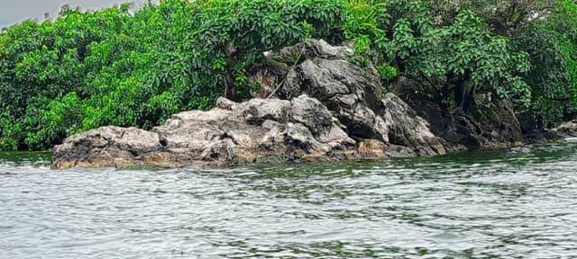 Rock islet off the sanctuary shore