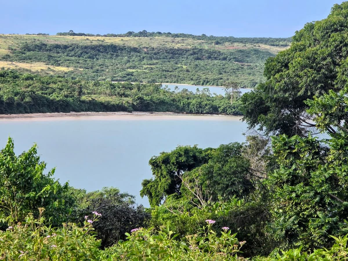 Lake Victoria seen from the sanctuary hill, forest and grassland falling to a sandy shore