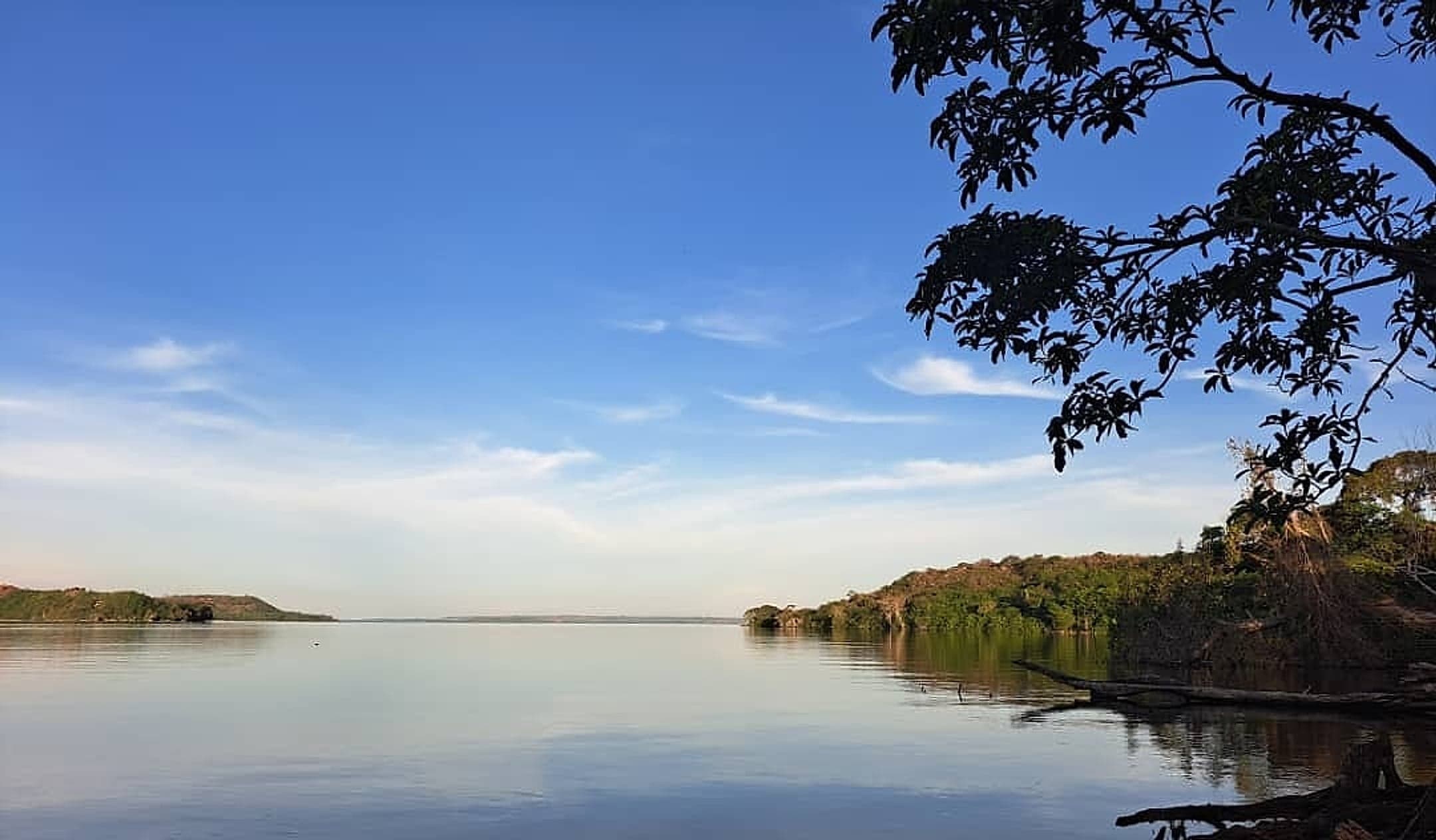 Lake Nalubaale seen from the tree-lined shore