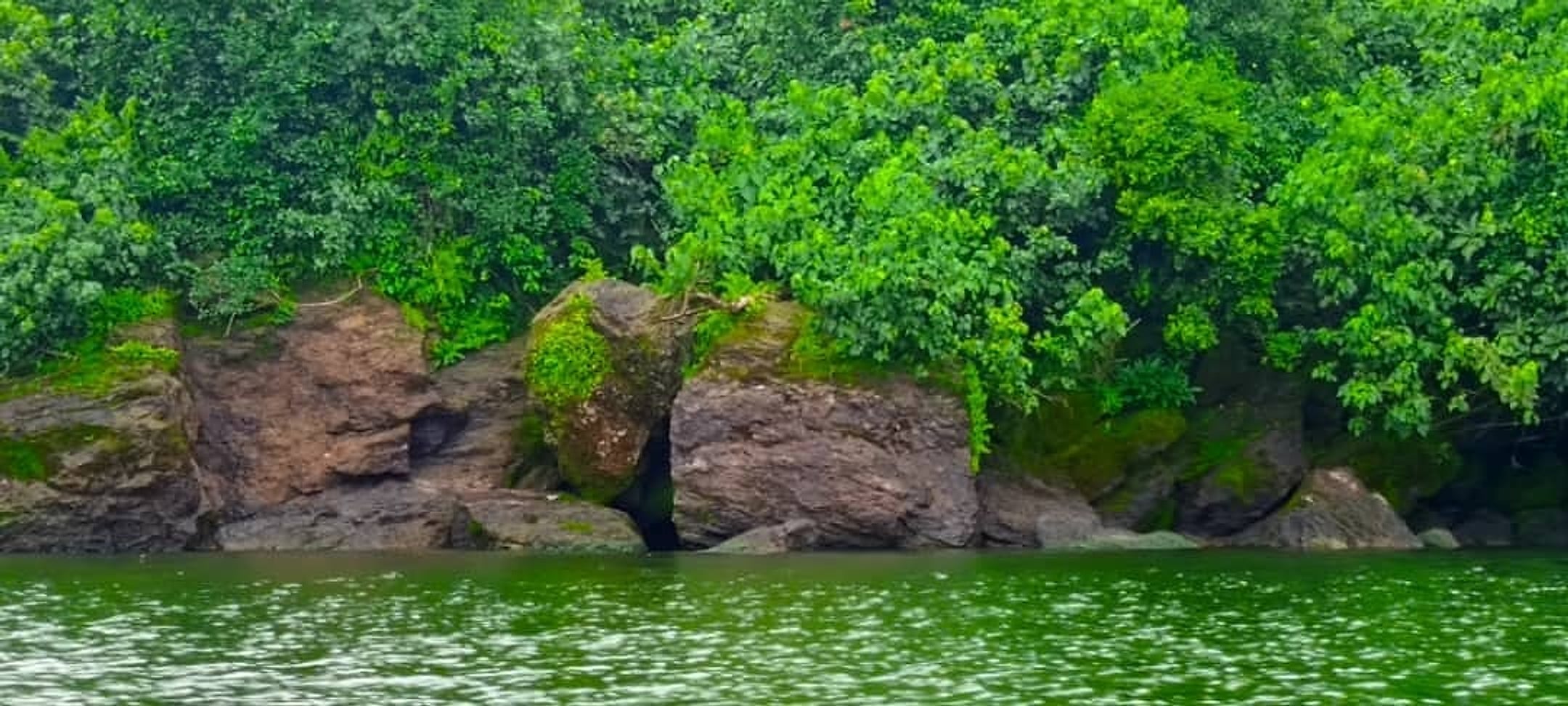 The mossed rock mouth of Nalubaale Cave seen from the water